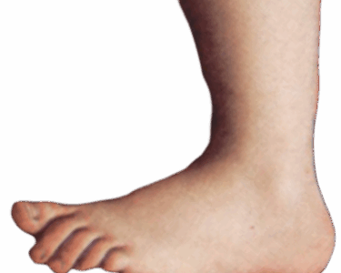 Bloggers Are Still Important to the Publishing World, but They’re Disappearing