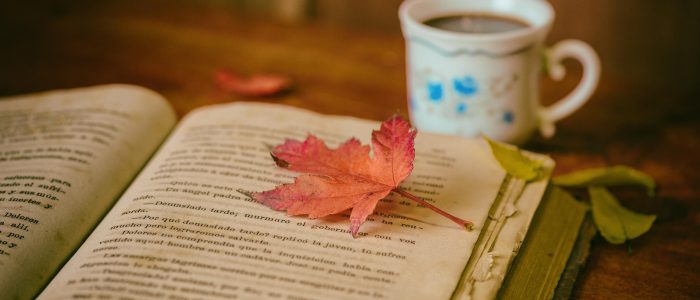 Turn Your Expertise Into a Lead-Magnet Book (Without Getting Scammed Along the Way)